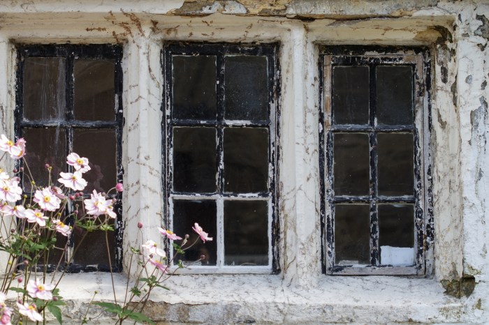 What is Window Glazing and Why is it Important